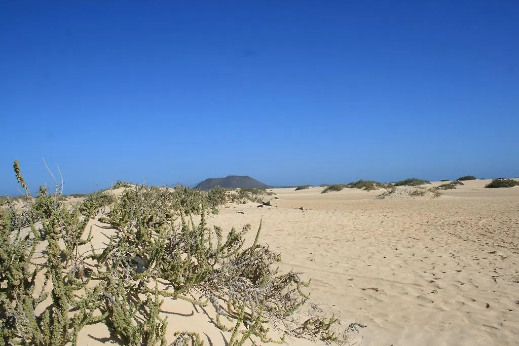 El Sultan Corralejo Apartment